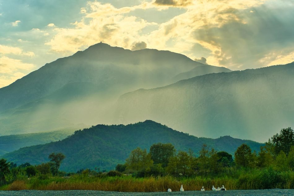 Explore the Untouched Beauty of Javathu Hills: A Tranquil Escape Near Tiruvannamalai