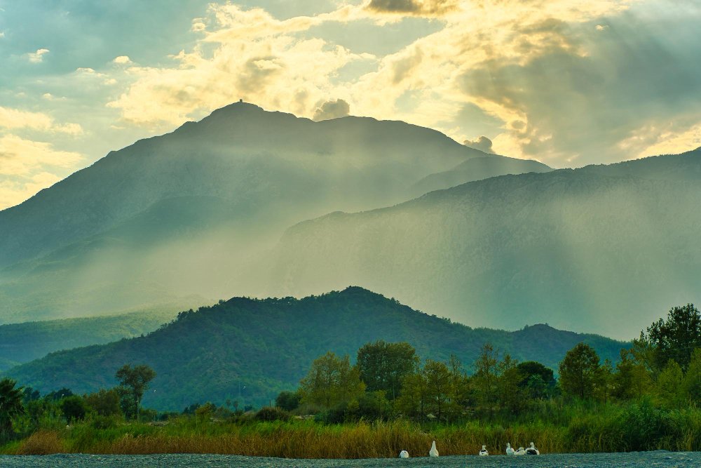 Explore the Untouched Beauty of Javathu Hills: A Tranquil Escape Near Tiruvannamalai